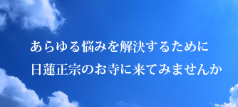 nayami.jpg